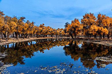 E3 2021:3D平台解谜游戏《折纸物语》最新宣传片 登陆多平台