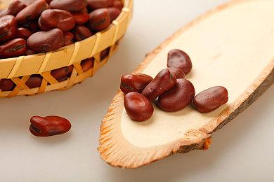 显存吃亏！《夺宝奇兵》RTX 4060的表现甚至不如RTX 3060